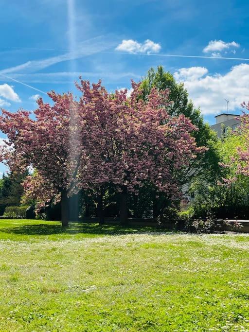 Studio Situe A 5 Min Du Chateau De Versailles Et Stationnement Gratuit Eksteriør billede